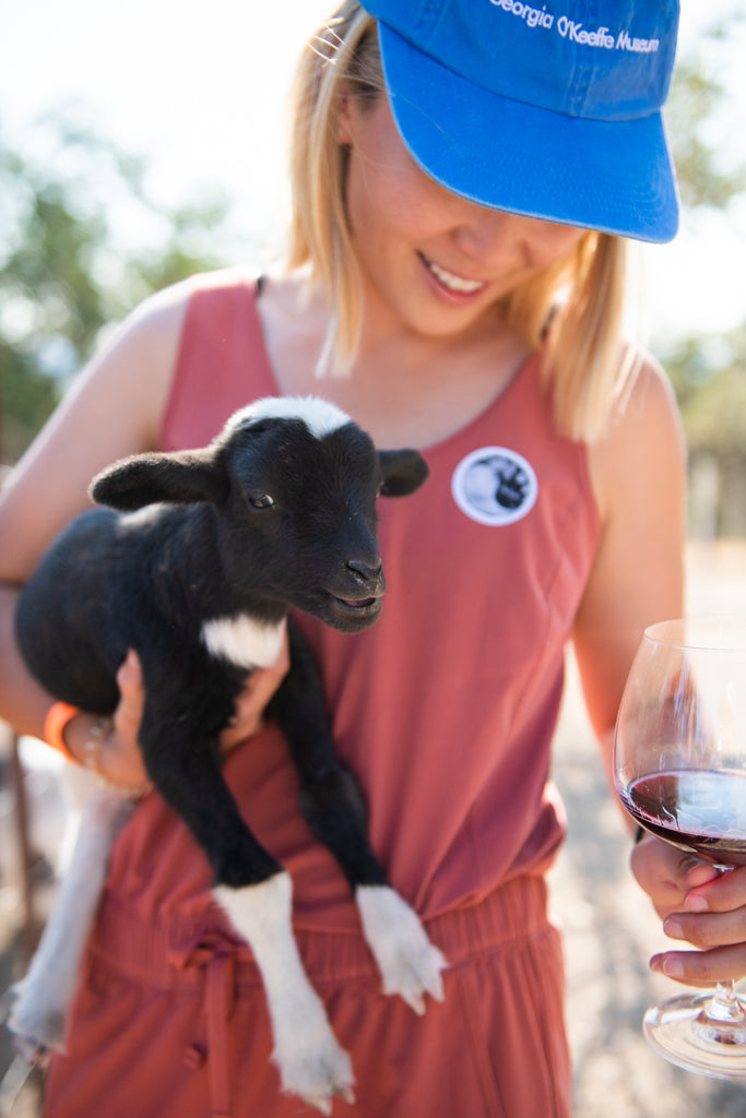 Our very first Open Farm Day is under our belts!