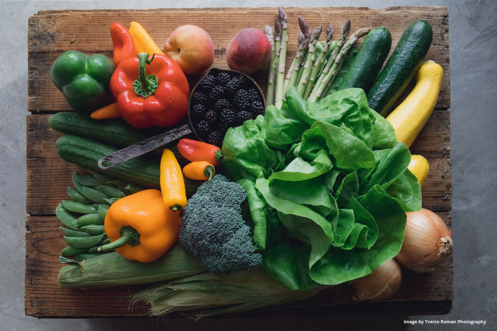 SLO Co Farm Trail: Happenings All Along the Trail