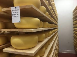 Hidden Cheese Makers - CA Cheese Trail Newsletter