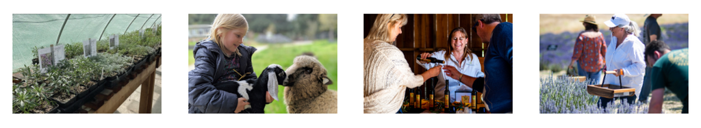 Trail Happenings: Spring & Summer Things to Do along the Trail