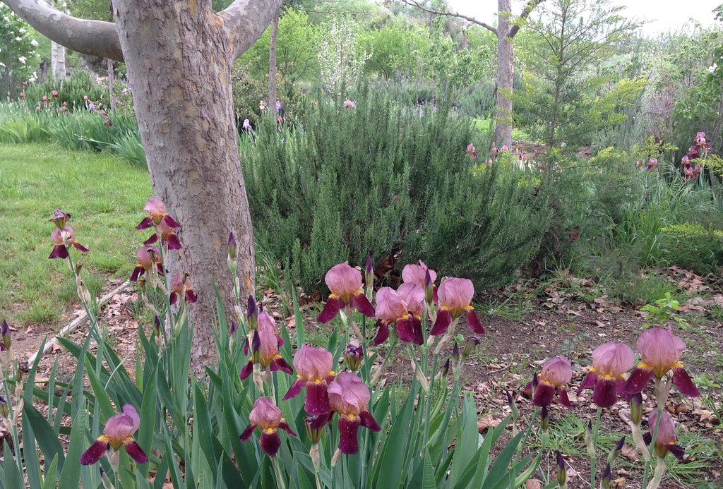 What's coming up this Spring...