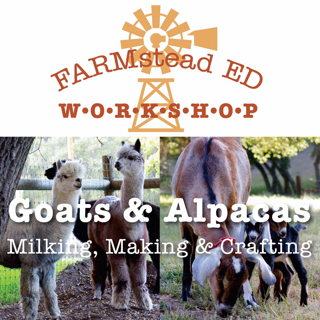 Ever wonder what a FARMstead ED Workshop is all about?