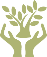 Trail Times: Alpaca puns, olive trees, and experiences for life