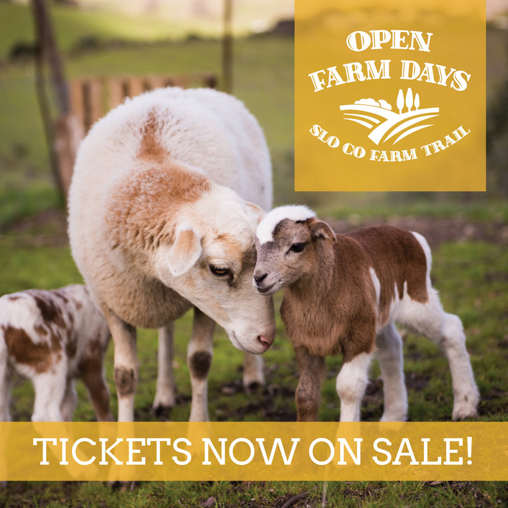 TICKETS NOW ON SALE 🚜Open Farm Days June 21-23🤠