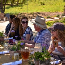 Exploring Paso Robles Through My Taste Buds