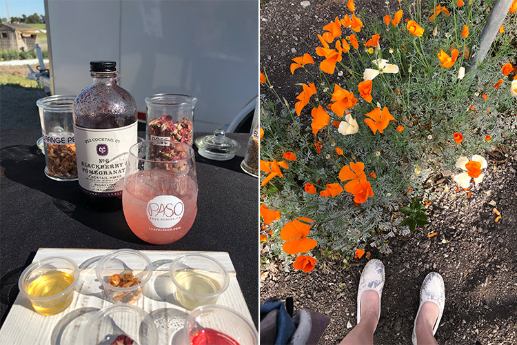 California’s Best-Kept Secret Is This Beachside Wine Region