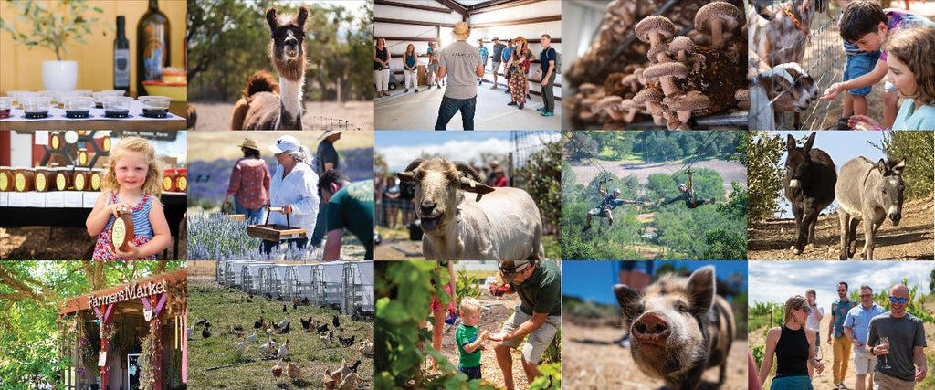 It's Time to Hit the Trail...🤠🧡🙌