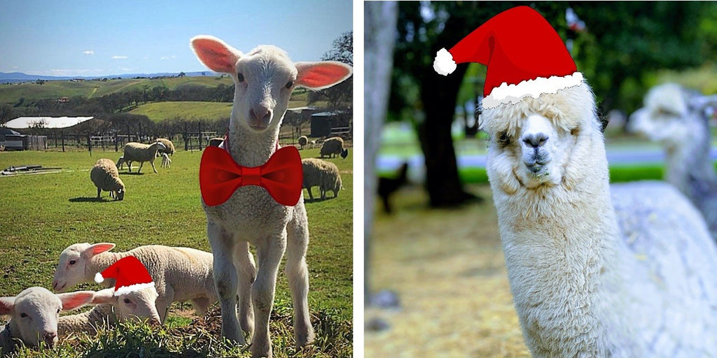 We Wish EWE a Merry Christmas!