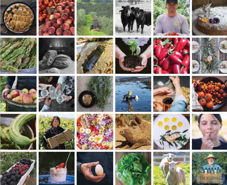 What's Growin' on - Savoring Summer along the Trail!