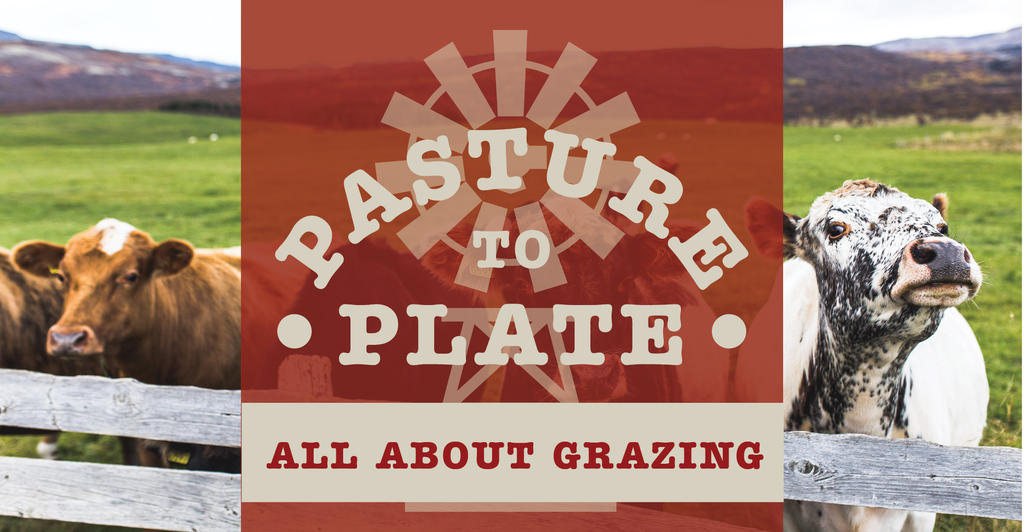 FARMstead ED Celebrates Summer!