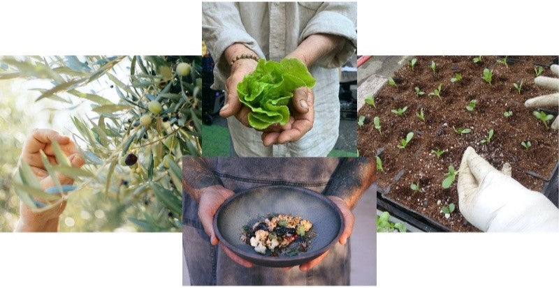 A Thankful Tribute to the Hands that Nourish Us!