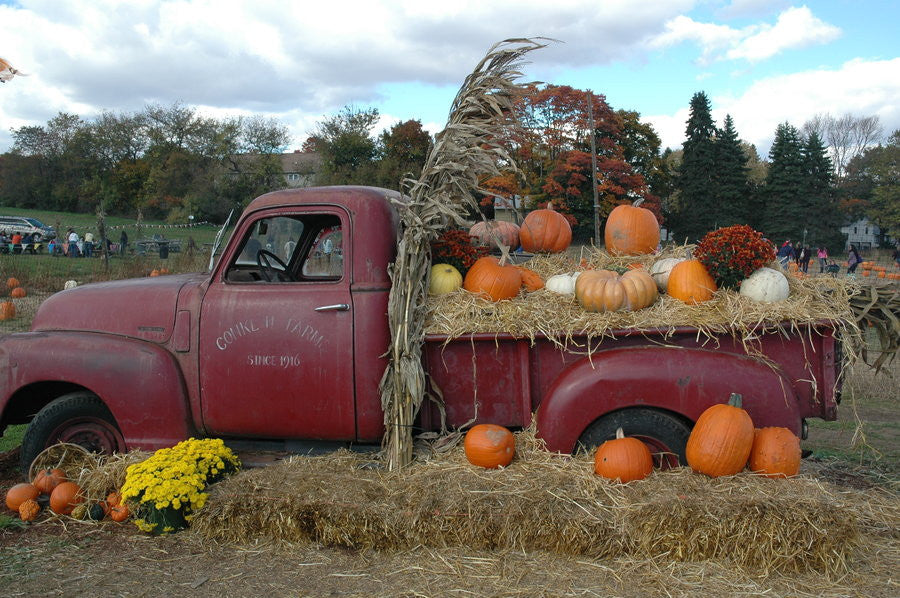 Our Harvest Newsletter