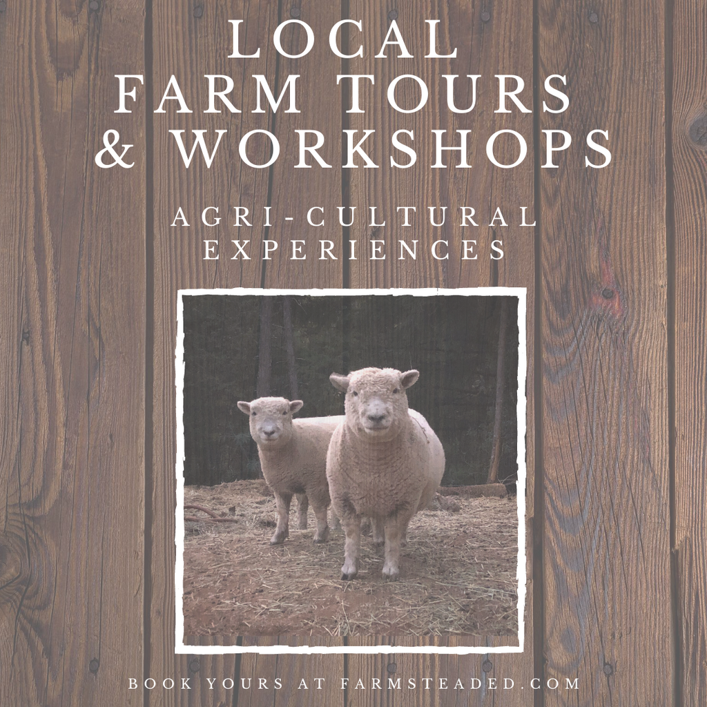 Trail Times: Summertime Farm Tours & Workshops