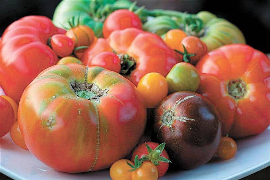 10 of SLO County’s Tastiest Festivals