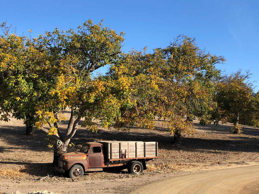 Harvest nears the end, and holidays are just around the bend.