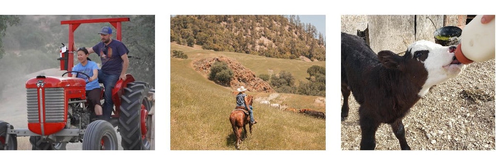 Trail Happenings: Say Hello to our New Partners & Friends!