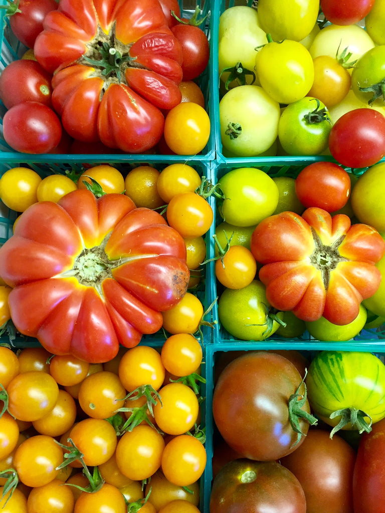 Heirloom Tomato Festival Weekend at Windrose Farm Sept. 23-24