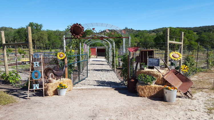 FARMstead ED Media Tour at Rancho Dos Amantes