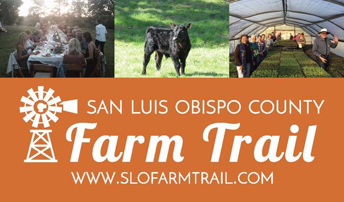 Have You Herd?  We're building a new Farm Trail!