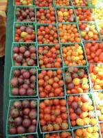 Heirloom Tomato Festival coming to Windrose Farm