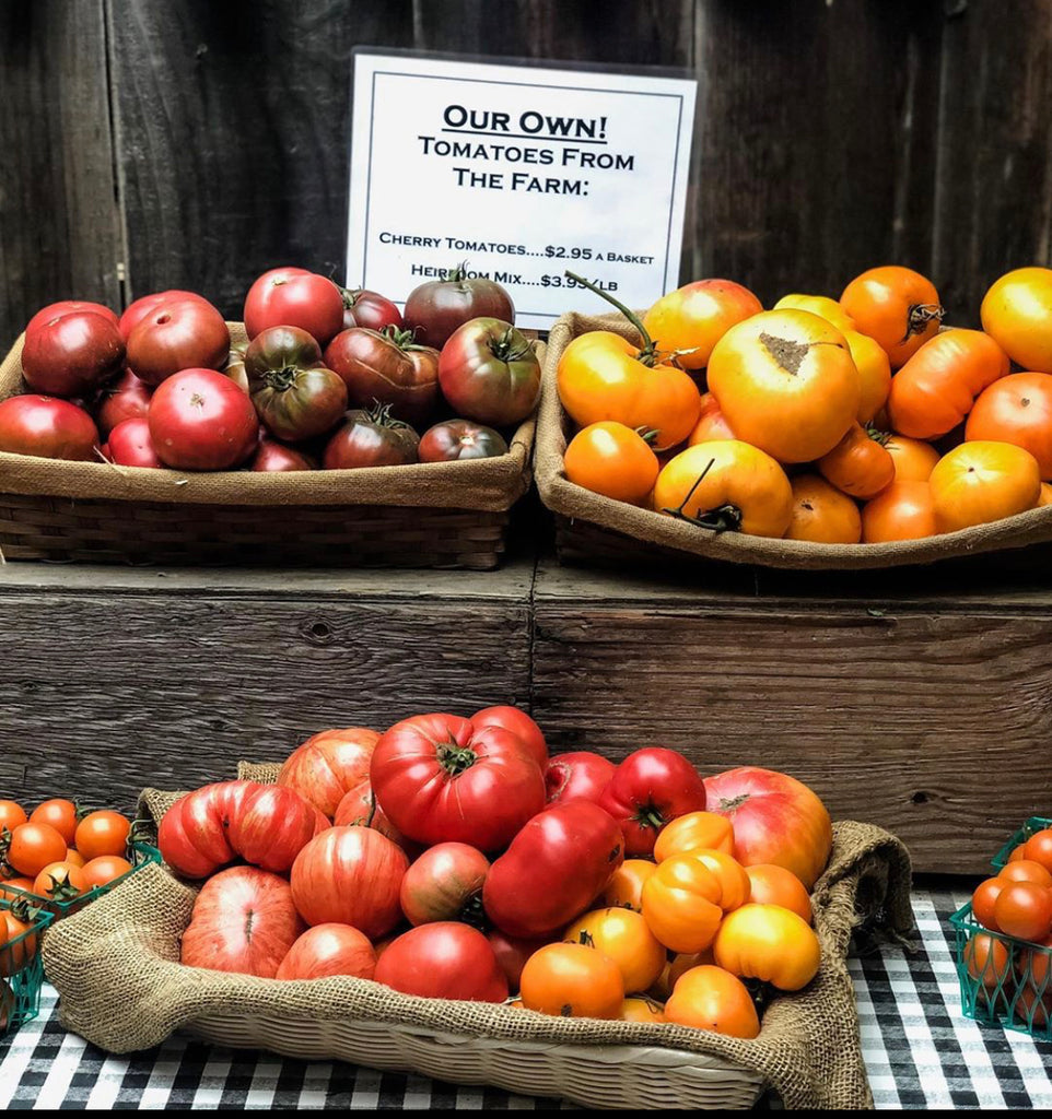 Trail Times:  All About Tomatoes, this season's happenings, recipes and more!
